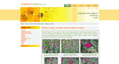 Desktop Screenshot of galeria-kwiatow.com